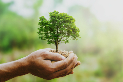 Interview écologie